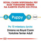 Sucha karma pełnoporcjowa dla szczeniąt Royal Canin Yorkshire Terrier Puppy rasy Yorkshire Terrier od 2 do 10 miesiąca życia 500 g (3182550743464) (39720051) - obraz 5