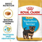 Сухий повнораційний корм для цуценят Royal Canin Yorkshire Terrier Puppy породи йоркширський тер'єр віком від 2 до 10 місяців 1.5 кг (3182550743471) (39720151) - зображення 3