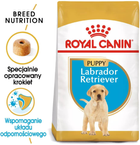 Sucha karma pełnoporcjowa dla szczeniąt Royal Canin Labrador Retriever Puppy dla labradorów do 15 miesiąca życia 12 kg (3182550725514) (24911201) - obraz 2