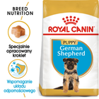 Sucha karma pełnoporcjowa dla szczeniąt Royal Canin German Shepherd Puppy Owczarki niemieckie psy do 15 miesiąca życia 12 kg (3182550724159) (25191201) - obraz 3