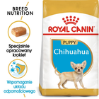 Sucha karma dla szczeniąt Chihuahua Royal Canin Chihuahua Puppy 1.5kg (3182550722544) (24380151) - obraz 3