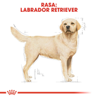 Sucha karma pełnoporcjowa dla psów Royal Canin Labrador Retriever Dorosła rasa Labrador Retriever powyżej 15 miesiąca życia 12 kg (3182550715645) (2487120) - obraz 3