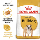 Royal Canin Bulldog Adult sucha karma pełnoporcjowa dla buldogów od 12 miesiąca życia i powyżej 12 kg (3182550719803) (2590120) - obraz 2