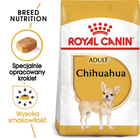 Sucha karma dla psów Chihuahua Royal Canin 500g (3182550718813) (2210005) - obraz 2