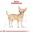 Sucha karma dla psów Chihuahua Royal Canin 500g (3182550718813) (2210005) - obraz 3