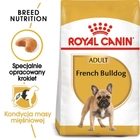 Sucha karma pełnoporcjowa dla dorosłych psów rasy buldog francuski Royal Canin buldog francuski Adult powyżej 12 miesiąca życia 3 kg (3182550811637) (3991030) - obraz 2