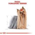 Sucha karma pełnoporcjowa dla dorosłych psów Yorkshire Terrier Royal Canin Yorkshire Terrier Adult od 10 miesiąca życia 1,5 kg (3182550716857) (3051015) - obraz 4