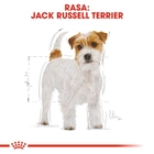 Sucha karma dla psów Jack Russell Terrier Royal Canin 1.5kg (3182550821414) - obraz 3
