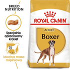 Сухий корм для собак Boxer Royal Canin 12кг (3182550719766) - зображення 2