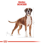 Сухий корм для собак Boxer Royal Canin 12кг (3182550719766) - зображення 3