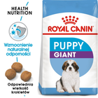 Sucha karma dla szczeniąt Royal Canin Puppy Giant 15kg (3182550707046) (94034) (3030150) - obraz 2