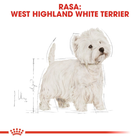 Royal Canin West Highland White Terrier Adult Pełnoporcjowa sucha karma dla psów dorosłych i starszych od 10 miesiąca życia 3 kg (3182550811774) (3981030) - obraz 4