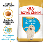 Sucha karma dla szczeniąt Golden Retriever Royal Canin Puppy 3kg (3182550751254) - obraz 2