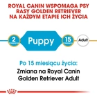 Sucha karma dla szczeniąt Golden Retriever Royal Canin Puppy 3kg (3182550751254) - obraz 5