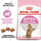 Sucha karma dla kociąt sterylizowanych Royal Canin Kitten Sterilized 3,5 kg (3182550877831) (2562035) - obraz 2