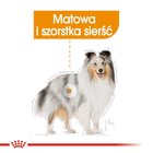 Сухий корм для собак Royal Canin Mini Coat Care 3 кг (3182550894326) (1220030) - зображення 5