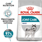 Sucha karma dla psów Royal Canin Maxi Joint Care 10 kg (3182550893701) - obraz 2