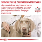 Sucha karma dla psa Royal Canin Gastro Intestinal na niestrawność 15 kg (3182550771078 / 3182550905695) (11285) - obraz 7