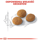 Sucha karma dla kotów Royal Canin Exigent Aromatic 400 g (3182550767262) (2543004) - obraz 3