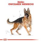 Sucha karma pełnoporcjowa dla psów Royal Canin Owczarek Niemiecki Dorosły Owczarek Niemiecki powyżej 15 miesiąca życia 11 kg (3182550892759) (2518110) - obraz 3