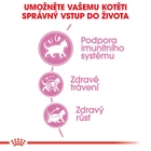 Sucha karma dla kociąt Royal Canin Kitten 2 kg (3182550702423) (2522020) - obraz 4
