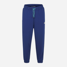 Спортивні штани чоловічі Fila FAM0153-50016 S Сині (4064556289636) - зображення 5