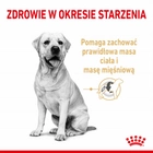 Sucha karma dla dorosłych psów Royal Canin Labrador Retriever 5+ 12 kg (3182550908412) (1339120) - obraz 3