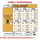 Royal Canin Buldog Francuski Adult sucha karma 9 kg (3182550846042) (3991090) - obraz 6