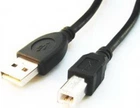 Кабель синхронізації Cablexpert USB 2.0 AM/BM 1.8m (CCP-USB2-AMBM-6) Black