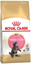 Sucha karma Royal Canin Maine Coon Kitten dla kociąt Maine Coon do 15 miesiąca życia 2 kg + kocyk i miska w prezencie (11_11100) - obraz 1