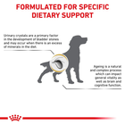 Sucha karma dla dorosłych psów Royal Canin Urinary Uc Dog 14 kg (3182550748315) (3942140) - obraz 9