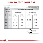 Mokra karma dla kotów z problemami gastrycznymi ROYAL CANIN Vet Gastrointestinal kawałki w sosie - saszetki 12x85g (9003579013601) - obraz 5