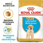 Sucha karma pełnoporcjowa dla szczeniąt Royal Canin Labrador Retriever Puppy dla labradorów do 15 miesiąca życia 3 kg (3182550725507) - obraz 2