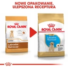 Сухий повнораційний корм для цуценят Royal Canin Labrador Retriever Puppy собак породи лабрадор ретрівер віком до 15 місяців 3 кг (3182550725507) - зображення 9
