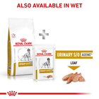 Сухий корм для собак Royal Canin Urinary S/O при лікуванні та профілактиці сечокам'яної хвороби 2 кг (3182550711036) (93091) (39130201) - зображення 7