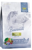 Сухий корм для котів Benvenuti GATTI з куркою