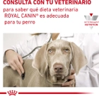 Sucha karma dla psów Royal Canin Vet S na problemy skórne 4 kg (3182550940351) - obraz 4