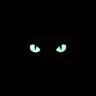 Шеврон на липучке Laser Cut UMT Кошачьи глаза 8х2,5 см РипСтоп люминисцентный Чёрный - изображение 3