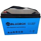 Акумулятор BlueBox AGM 12V 100Ah VRLA (5904496564051) - изображение 1