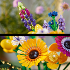 Zestaw klocków LEGO Icons Bukiet z polnych kwiatów 939 elementów (10313) - obraz 8