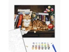 Картина за номерами Кіт на книжковій полиці, Brushme (40х50 см), BS4142