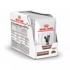 Mokra karma dla kotów z problemami gastrycznymi ROYAL CANIN Vet Gastrointestinal kawałki w sosie - saszetki 12x85g (9003579013557)