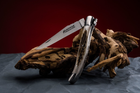 Нож карманный Fontenille Pataud, Laguiole Traditional, ручка из рога оленя (L12BC) - изображение 10
