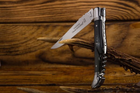 Нож карманный Claude Dozorme, Laguiole Classic, ручка из черного рога (1.60.129.64MI) - изображение 3