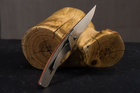 Нож карманный Claude Dozorme, Liner Lock Le Theirs, ручка экзотическое дерево (1.90.142.51) - изображение 7