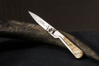 Ніж кишеньковий Claude Dozorme, Corsica Liner Lock, ручка з роги барана (1.92.142.37) - зображення 1