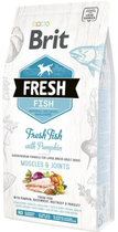 Сухий корм Brit Fresh Muscle&Joints для дорослих собак великих порід з рибою і гарбузом