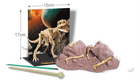Набір для розкопок 4M Скелет тираннозавра (00-03221) - зображення 5