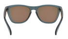 Тактические очки Oakley Frogskins Crystal Black Prizm Sapphire Polarized (0OO9013-9013F655) - изображение 3