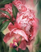 Алмазная мозаика Бабочка в пионах 40x50см DM-184